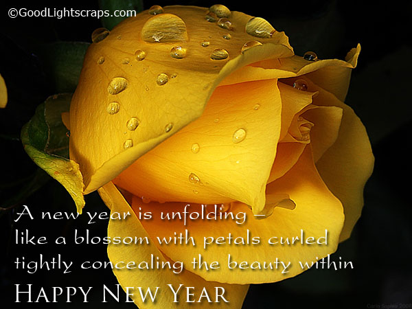 Happy new year flower wishes, scraps, comments and greetings