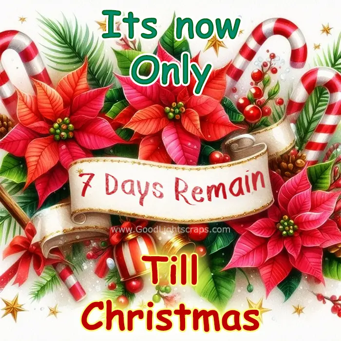 Beautiful Images of 7 Days Till Christmas with Text Messages, Captions