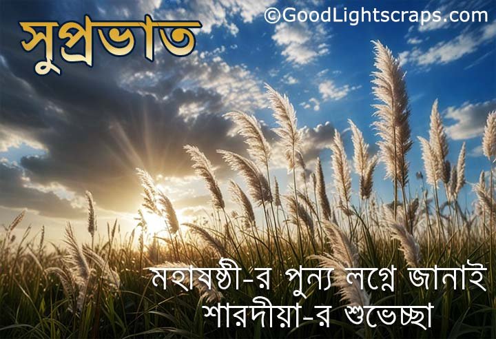 Shubho Sasthi Wishes, Messages In Bengali