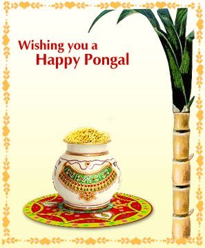 Pongal Greetings, Pongal Orkut Scraps, Graphics