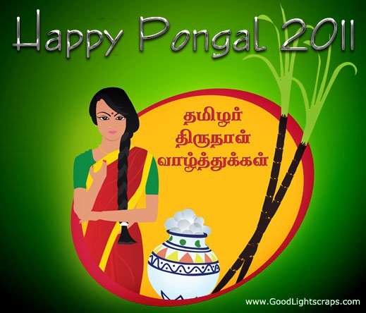 Pongal Greetings, Pongal Orkut Scraps, Graphics