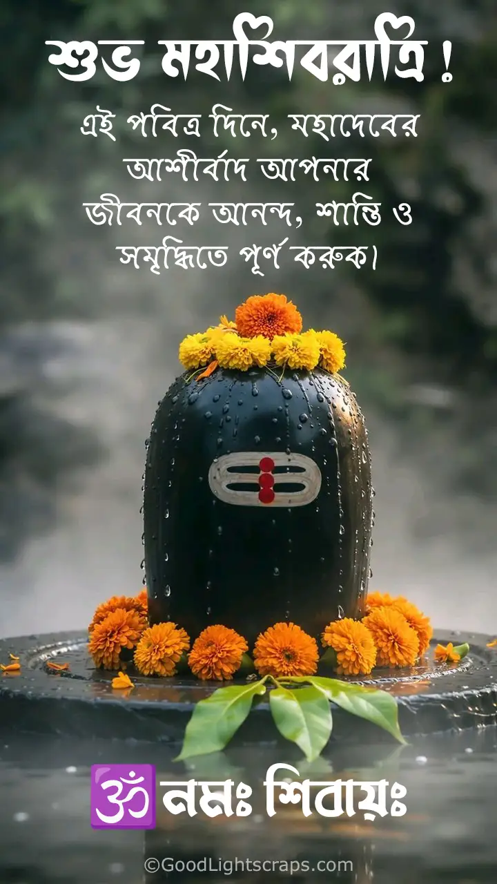 শুভ মহাশিবরাত্রি! এই পবিত্র দিনে, মহাদেবের আশীর্বাদ আপনার জীবনকে আনন্দ, শান্তি ও সমৃদ্ধিতে পূর্ণ করুক। 🕉️নমঃ শিবায়ঃ