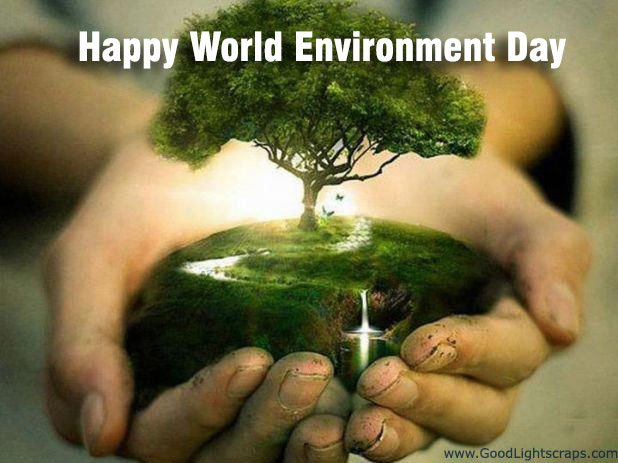 Environment Day Images with quotes and messages